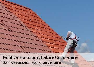Peinture sur tuile et toiture collobrieres-83610 Sas Vavasseur Var Couverture