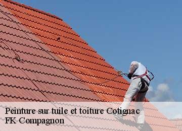Peinture sur tuile et toiture cotignac-83570 FK Compagnon