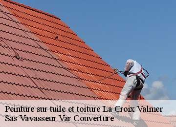 Peinture sur tuile et toiture la-croix-valmer-83420 Sas Vavasseur Var Couverture
