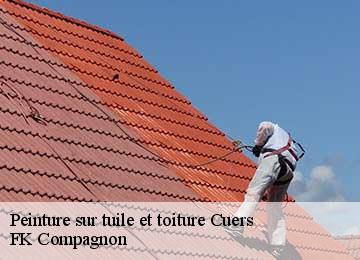 Peinture sur tuile et toiture cuers-83390 FK Compagnon