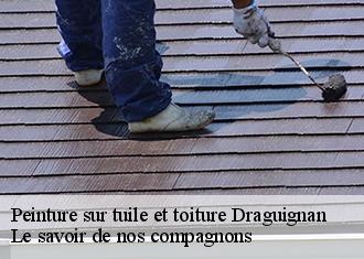 Peinture sur tuile et toiture  draguignan-83300 Le savoir de nos compagnons 