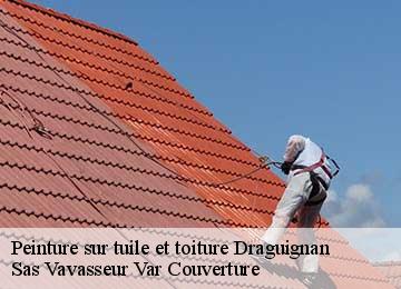 Peinture sur tuile et toiture  draguignan-83300 Sas Vavasseur Var Couverture