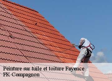 Peinture sur tuile et toiture fayence-83440 FK Compagnon