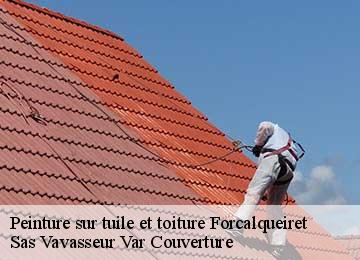 Peinture sur tuile et toiture forcalqueiret-83136 Sas Vavasseur Var Couverture