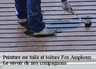 Peinture sur tuile et toiture  fox-amphoux-83670 Le savoir de nos compagnons 
