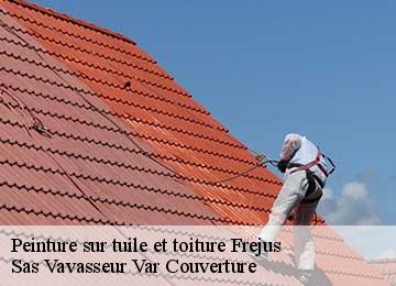 Peinture sur tuile et toiture frejus-83600 Sas Vavasseur Var Couverture