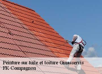 Peinture sur tuile et toiture ginasservis-83560 FK Compagnon