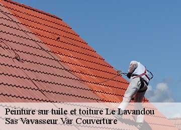 Peinture sur tuile et toiture le-lavandou-83980 Sas Vavasseur Var Couverture