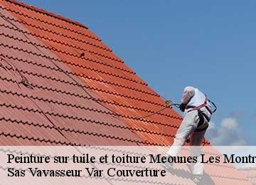 Peinture sur tuile et toiture meounes-les-montrieux-83136 Sas Vavasseur Var Couverture