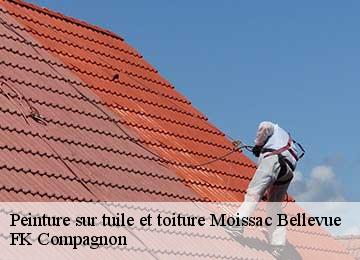 Peinture sur tuile et toiture moissac-bellevue-83630 FK Compagnon