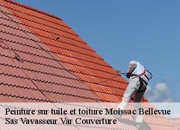 Peinture sur tuile et toiture moissac-bellevue-83630 ETS BAUMANN couvreur 83