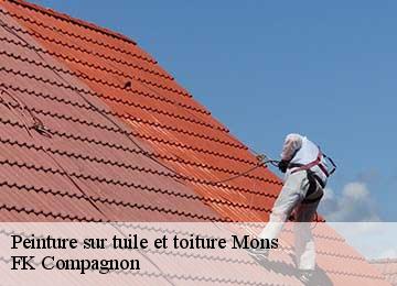 Peinture sur tuile et toiture mons-83440 FK Compagnon