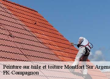 Peinture sur tuile et toiture montfort-sur-argens-83570 FK Compagnon