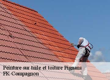 Peinture sur tuile et toiture pignans-83790 FK Compagnon