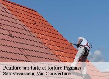 Peinture sur tuile et toiture pignans-83790 Sas Vavasseur Var Couverture