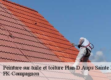 Peinture sur tuile et toiture plan-d-aups-sainte-baume-83640 FK Compagnon