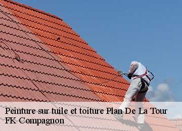 Peinture sur tuile et toiture plan-de-la-tour-83120 FK Compagnon
