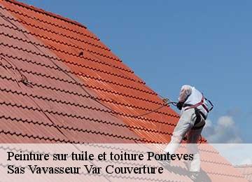 Peinture sur tuile et toiture  ponteves-83670 Sas Vavasseur Var Couverture