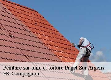 Peinture sur tuile et toiture puget-sur-argens-83480 FK Compagnon