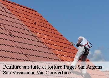 Peinture sur tuile et toiture  puget-sur-argens-83480 Sas Vavasseur Var Couverture