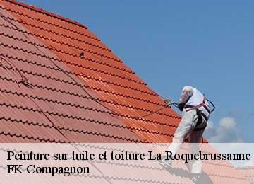 Peinture sur tuile et toiture la-roquebrussanne-83136 FK Compagnon