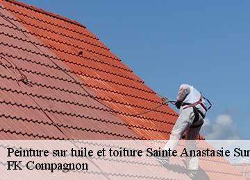 Peinture sur tuile et toiture sainte-anastasie-sur-issole-83136 FK Compagnon