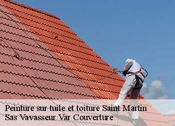 Peinture sur tuile et toiture saint-martin-83560 Sas Vavasseur Var Couverture