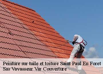Peinture sur tuile et toiture saint-paul-en-foret-83440 Sas Vavasseur Var Couverture