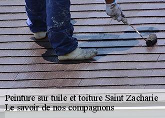 Peinture sur tuile et toiture  saint-zacharie-83640 Le savoir de nos compagnons 