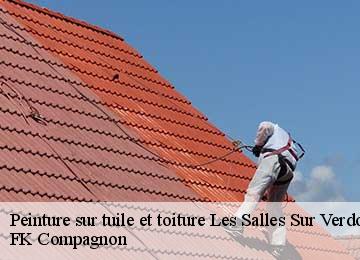 Peinture sur tuile et toiture les-salles-sur-verdon-83630 FK Compagnon