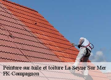 Peinture sur tuile et toiture la-seyne-sur-mer-83500 FK Compagnon