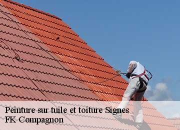 Peinture sur tuile et toiture signes-83870 FK Compagnon