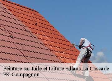 Peinture sur tuile et toiture sillans-la-cascade-83690 FK Compagnon