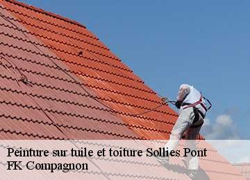 Peinture sur tuile et toiture sollies-pont-83210 FK Compagnon