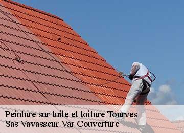 Peinture sur tuile et toiture tourves-83170 Sas Vavasseur Var Couverture