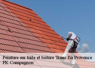 Peinture sur tuile et toiture trans-en-provence-83720 FK Compagnon