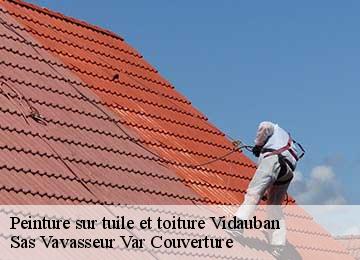 Peinture sur tuile et toiture  vidauban-83550 Sas Vavasseur Var Couverture