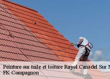 Peinture sur tuile et toiture rayol-canadel-sur-mer-83820 FK Compagnon
