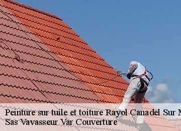 Peinture sur tuile et toiture rayol-canadel-sur-mer-83820 Sas Vavasseur Var Couverture