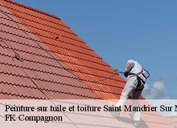 Peinture sur tuile et toiture saint-mandrier-sur-mer-83430 FK Compagnon