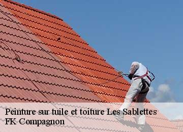 Peinture sur tuile et toiture les-sablettes-83500 FK Compagnon