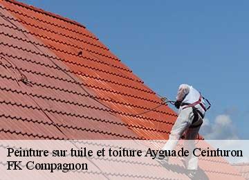 Peinture sur tuile et toiture ayguade-ceinturon-83400 FK Compagnon
