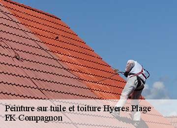 Peinture sur tuile et toiture hyeres-plage-83400 FK Compagnon