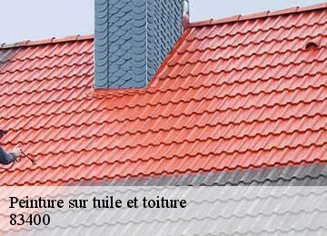 Peinture sur tuile et toiture 83400
