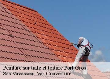 Peinture sur tuile et toiture port-gros-83400 Sas Vavasseur Var Couverture