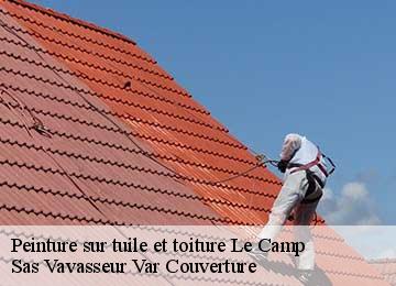Peinture sur tuile et toiture le-camp-83330 Sas Vavasseur Var Couverture
