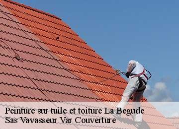 Peinture sur tuile et toiture la-begude-83330 Janmer Couverture