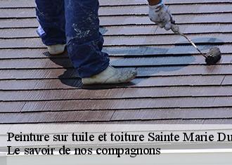 Peinture sur tuile et toiture  sainte-marie-du-castellet-83330 Le savoir de nos compagnons 