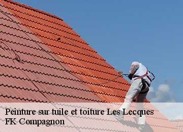 Peinture sur tuile et toiture les-lecques-83270 FK Compagnon