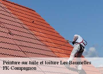 Peinture sur tuile et toiture les-baumelles-83270 FK Compagnon